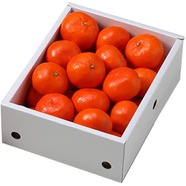 Amazon.co.jp: みかん 小原紅早生 風のいたずら ちょっと訳あり 大きさ